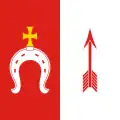 Flag of Ternovytsia