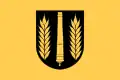 Flag of Åkers styckebruk