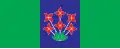 Flag of Šalovci
