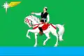 Flag of Agryzsky District