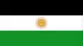 Flag of Aguada Guzmán