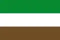 Flag of Arauquita