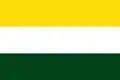 Flag of Arenal