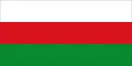 Flag of Armenia, Antioquia