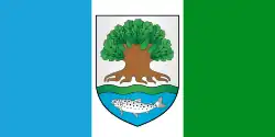 Flag of Astravyets