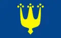 Flag of Gmina Błonie