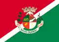 Flag of Baixo Guandu