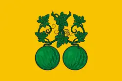 Flag of Balashov