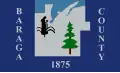 Flag of Baraga County, Michigan