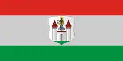 Flag of Barysaw