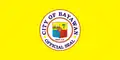 Flag of Bayawan