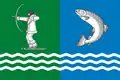 Flag of Belomorsky District