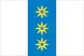 Flag of Berdyuzhsky District