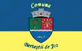 Flag of Berteștii de Jos