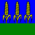 Flag of Berzona