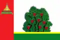 Flag of Bezhetsk