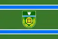 Flag of Birobidzhansky District
