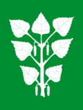 Flag of Bjerkreim Municipality