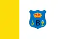 Flag of Bojacá