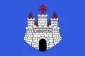 Flag of Bonifacio