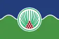 Flag of Bor