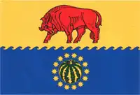 Flag of Bykovsky District