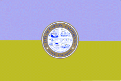 Flag of Carson, California