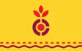 Flag of Carthage