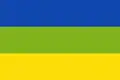 Flag of Castilla la Nueva, Meta