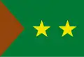 Flag of Cercado