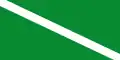 Flag of Chachagüí