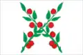 Flag of Chaplygin