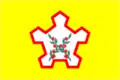 Flag of Chaplyginsky District