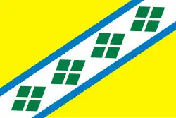 Flag of Chastinsky District