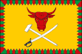 Flag of Chitinsky District