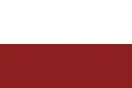 Flag of Cisneros