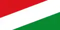 Flag of Cravo Norte