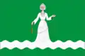 Flag of Drezna