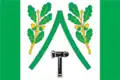 Flag of Dubensky District