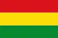Flag of El Tambo, Cauca