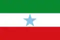Flag of Fúquene
