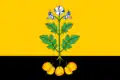 Flag of Falyonki