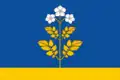Flag of Falyonsky District