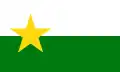 Flag of Forsyth County, North Carolina