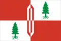 Flag of Fryanovo