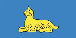 Flag of Homieĺ, Belarus