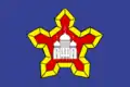 Flag of Gorodishche