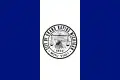 One of the two versions of the flag of Grand Rapids, used by the city government in an official matter.