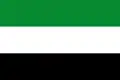 Flag of Hatonuevo