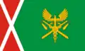 Flag of Irbitsky District